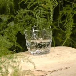 Arabia Moomin Forest Clear Glass Tumblers (Set of 2)