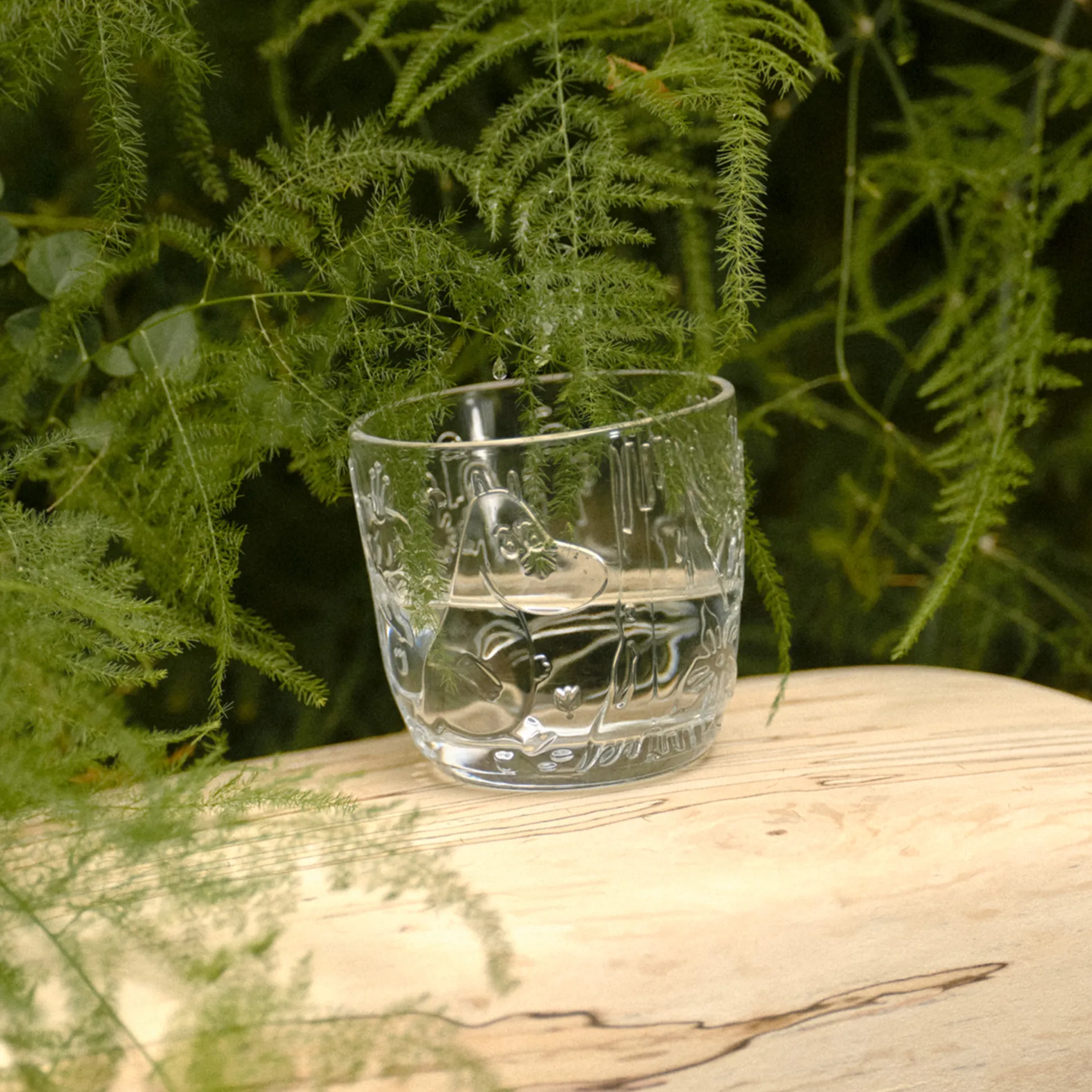 Arabia Moomin Forest Clear Glass Tumblers (Set of 2)