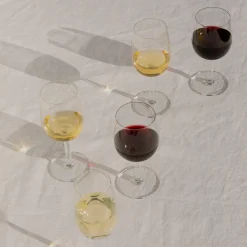 iittala Raami Red Wine Glass (Set of 4)