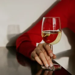 iittala Raami White Wine Glass (Set of 2)