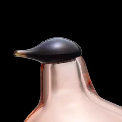 iittala Toikka Salmon Pink Chiffchaff