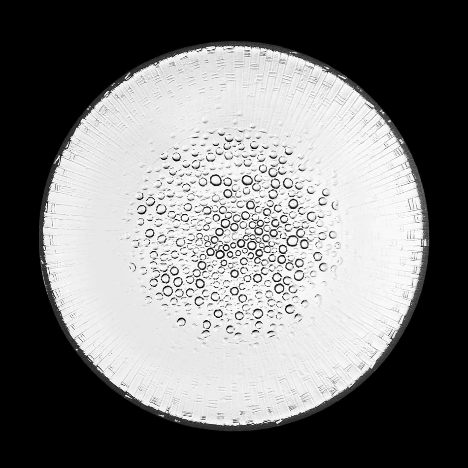 iittala Ultima Thule Dinner Plate