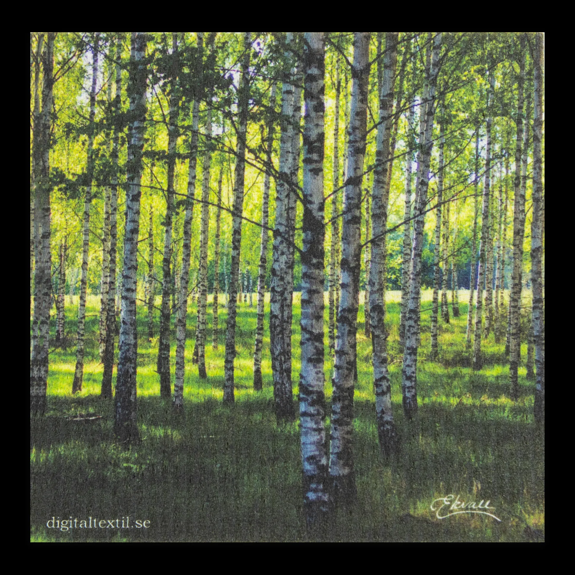Swedish Dishcloth - Birch Tree Forest