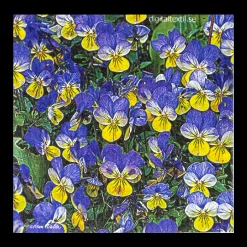 Swedish Dishcloth - Blue and Yellow Pansies